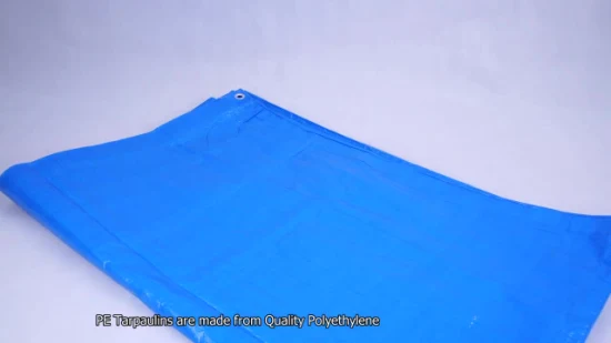 Grs SGS Approved Manufacturer Virgin Polyethylene 8 Feet Wide Rolling Green PE Poly Tarps